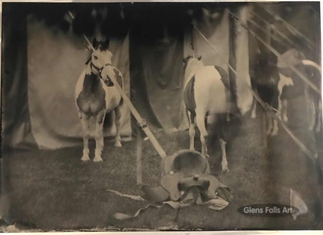 glens-falls-art-tintype of circus horses of-zerbini-family-circus made in Glens falls ny crandall park by-glens falls area artist craig-murphy.